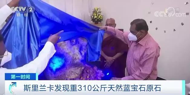 重310公斤！斯里兰卡发现巨大天然蓝宝石原石